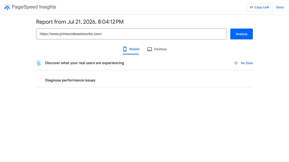 Lighthouse performance score dashboard on a business website audit