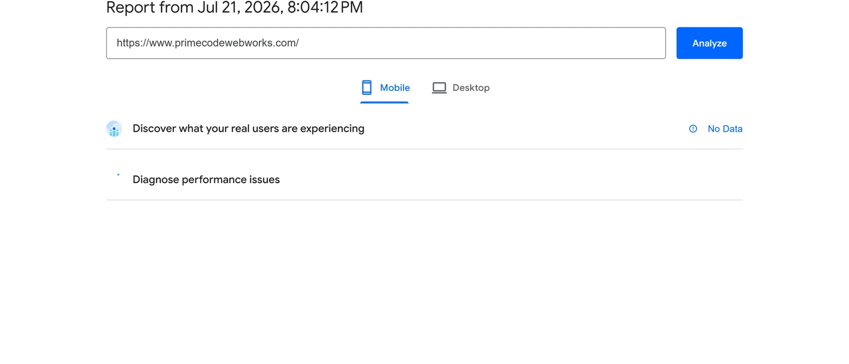 Lighthouse performance score dashboard on a business website audit